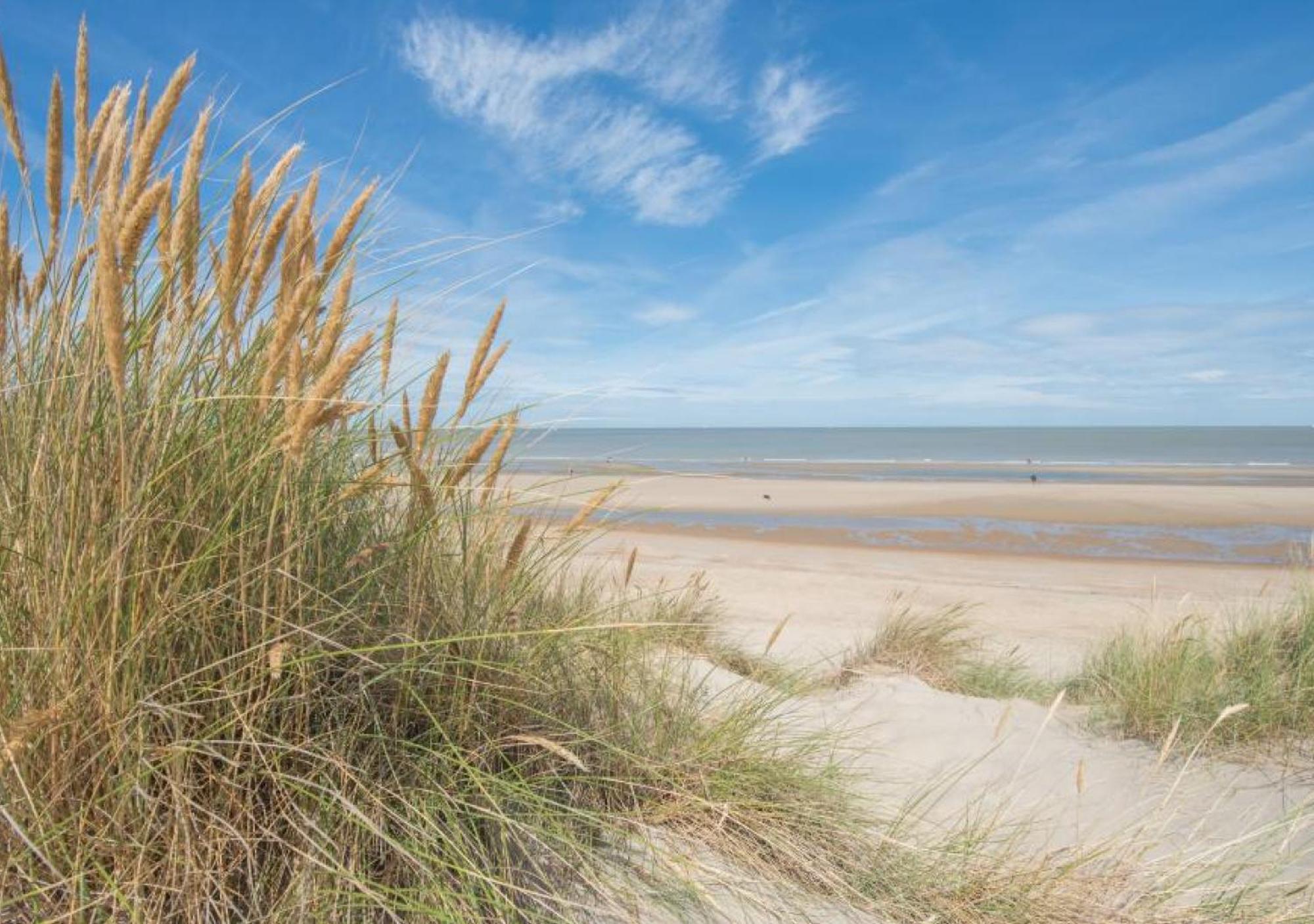 Salty - Vakantiehuisje Op De Grens Van Bredene-De Haan المظهر الخارجي الصورة